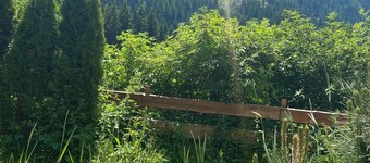 Hoamat Apartments TOP 1