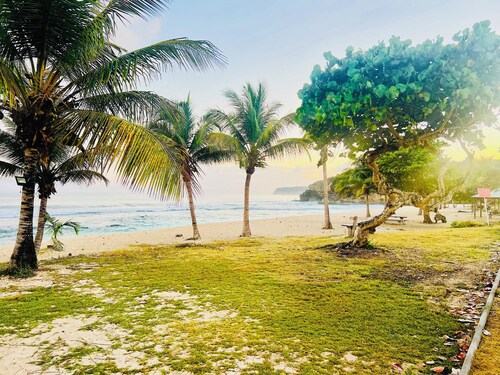 Le Cocon des îles