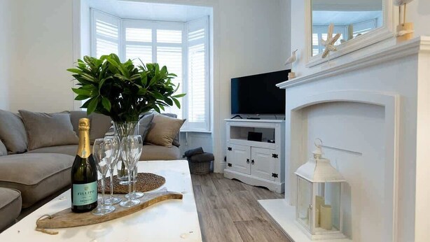 Una sala de estar con un sofá, una mesa con una botella de champán y copas, una planta, un televisor y una chimenea.