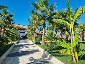 Property grounds - SanPietro Holiday Homes 293 (Gjiri Lalzit)