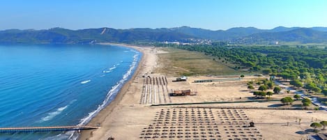 Nära stranden