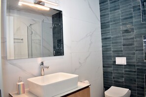 Shower, hair dryer, towels