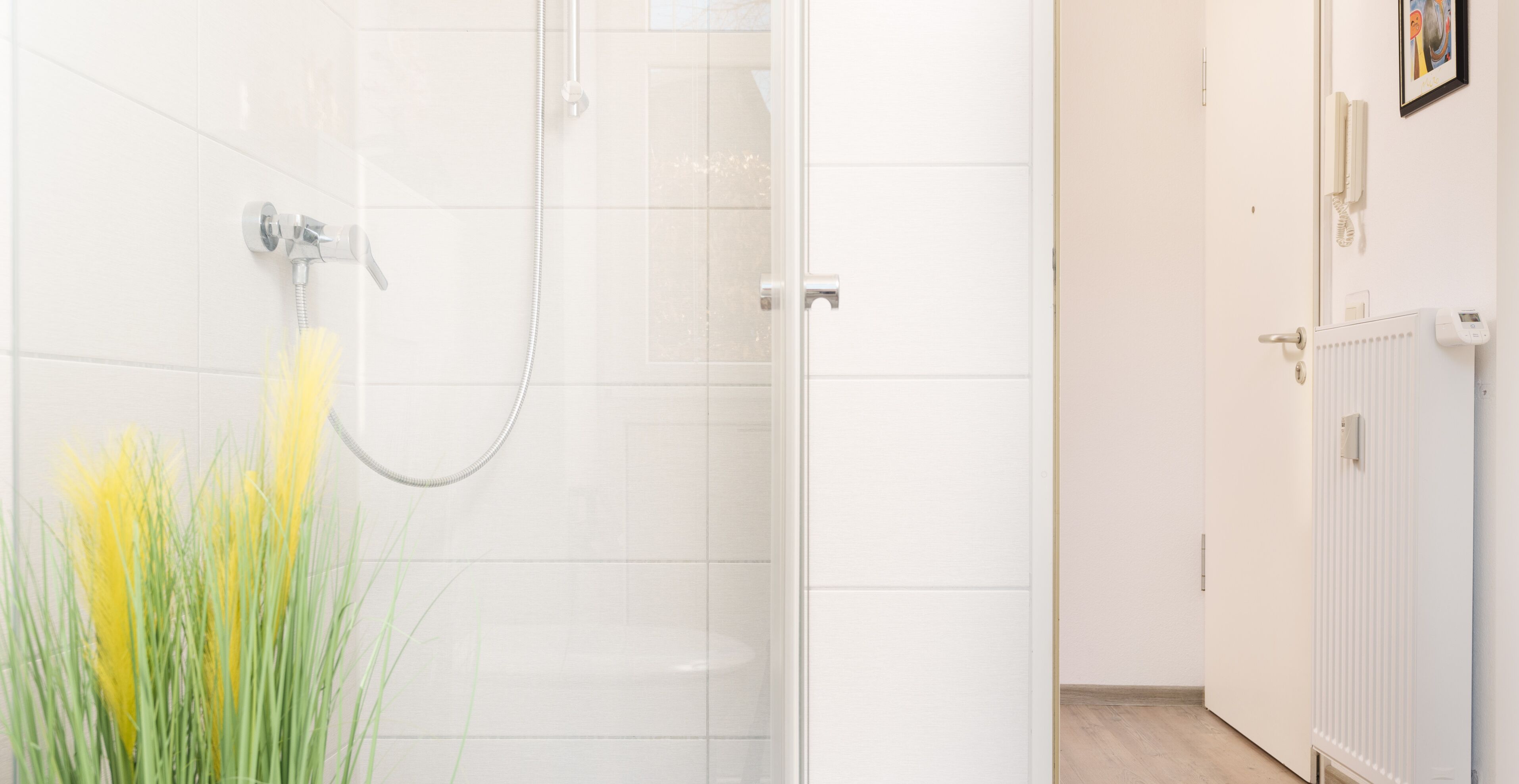 Shower, hair dryer