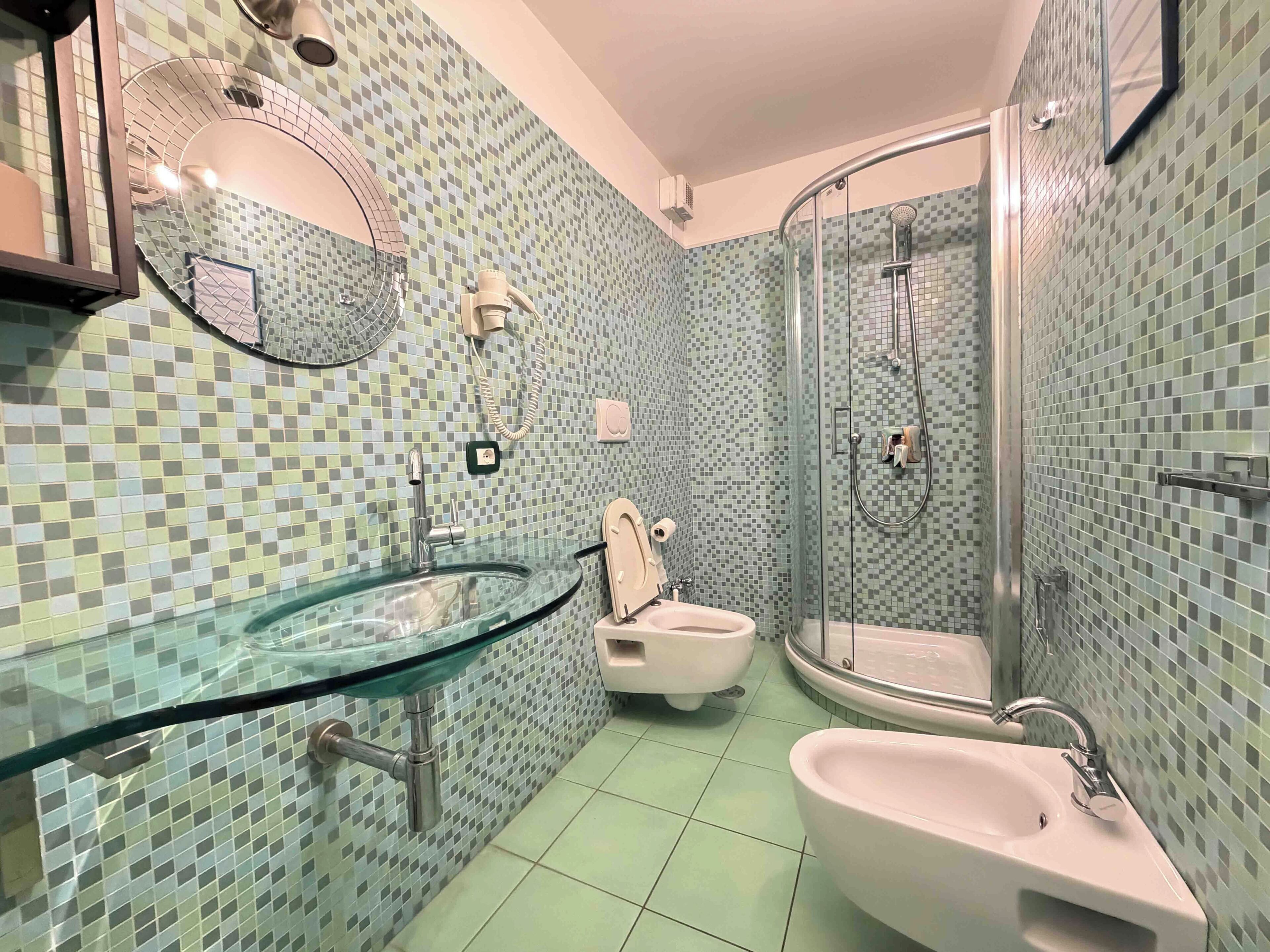 Shower, hair dryer, bidet, towels