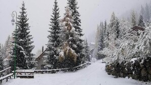A snow-covered landscape with a wooden cabin, snow-covered trees, and a stone wall.
