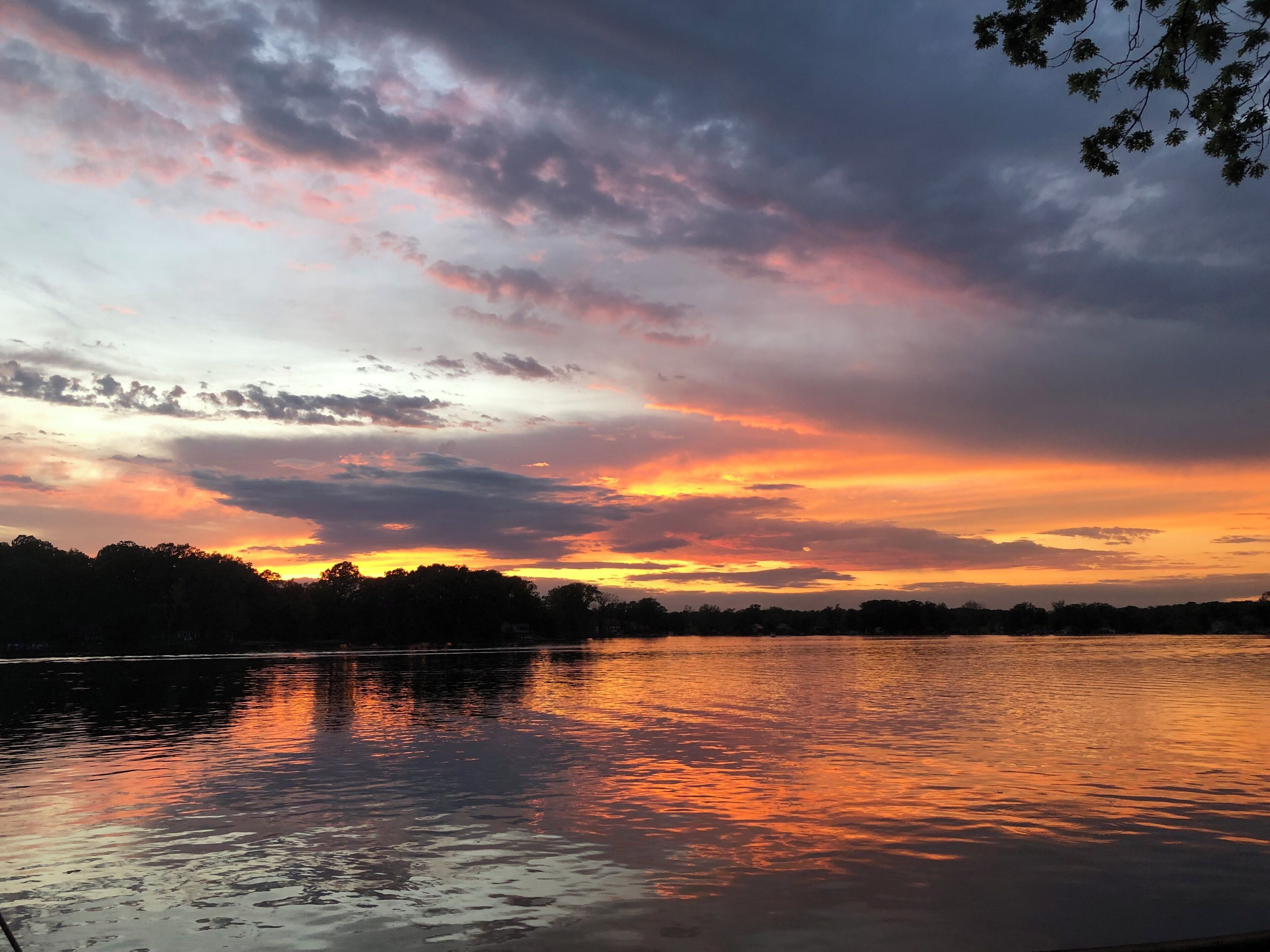 Un coucher de soleil sur une étendue d’eau, avec la silhouette d’arbres et un ciel nuageux.