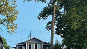 Une maison avec un quai s’avançant dans une étendue d’eau calme, entourée d’arbres et dotée d’une terrasse en bois.