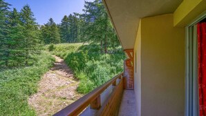 A balcony with a view of a forested path. - Apartment in Alps near Ski Slopes (Allos)