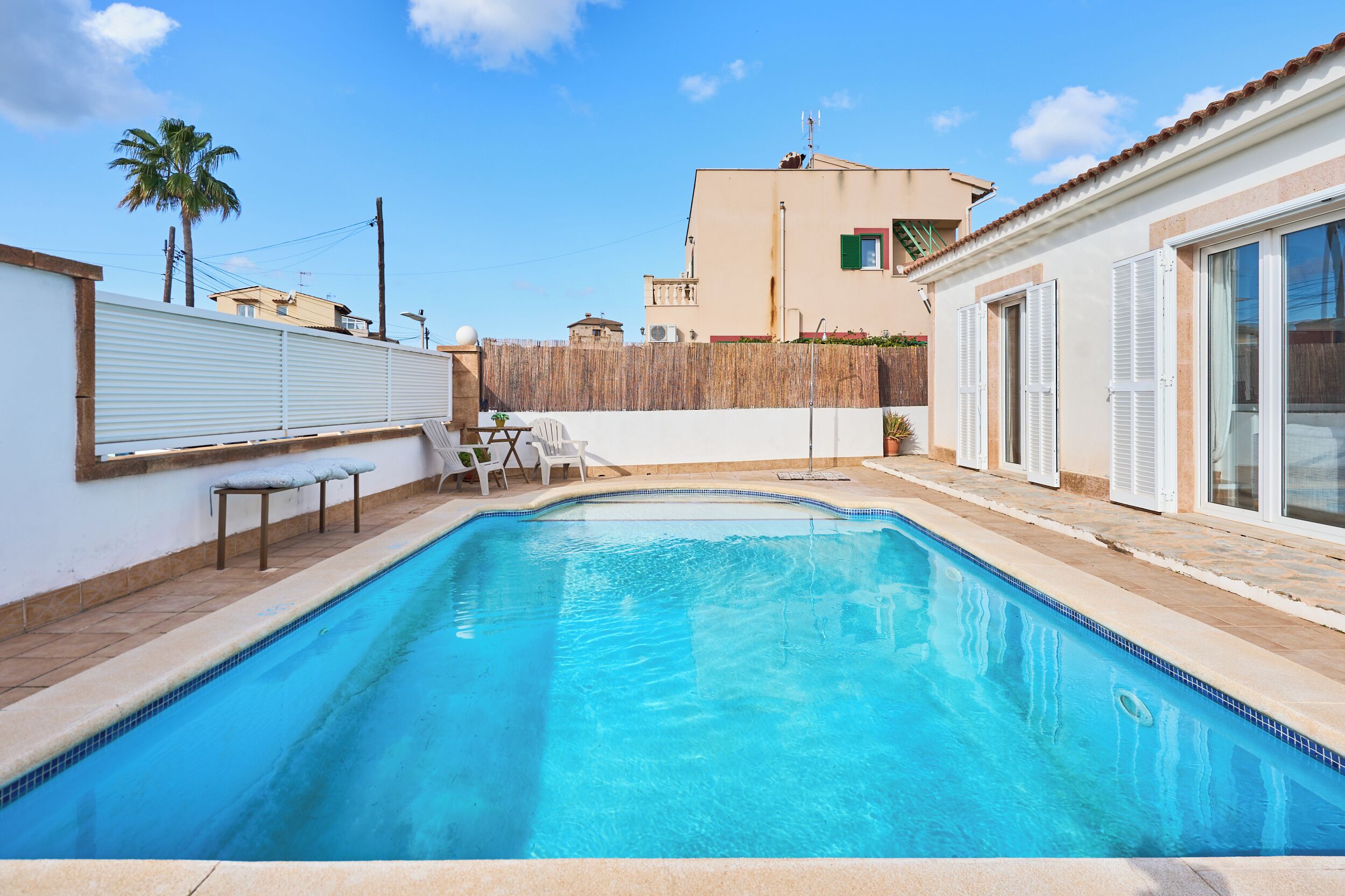 A swimming pool with a tiled edge, a wooden fence, and a palm tree in the background.