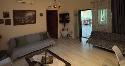 IDEAL HOUSE IN KARDITSA