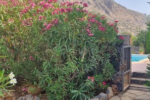 A garden with pink flowers and a pool area. - Plaka Elounda ..private Pool ..2 Beds..jaccuzi..parking..spinalonga/sea Views (Agios Nikolaos)