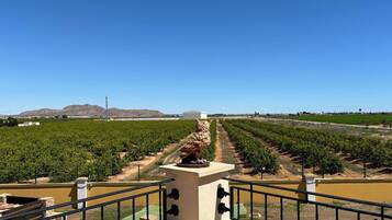 Villa | Property grounds