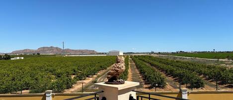 Villa | Property grounds