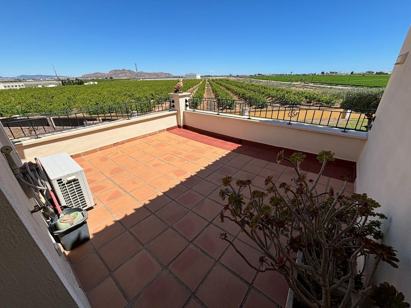 A rooftop terrace with a view of vineyards, a potted plant, and an air conditioning unit.