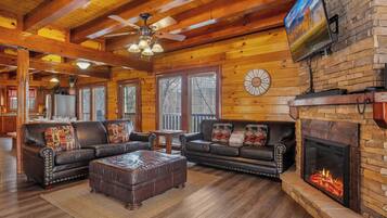 TV connectée, cheminée, jeux vidéo, lecteur de DVD