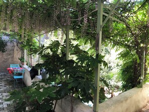 Terrace/patio - Lodging between Sète and Montpellier (Pignan)