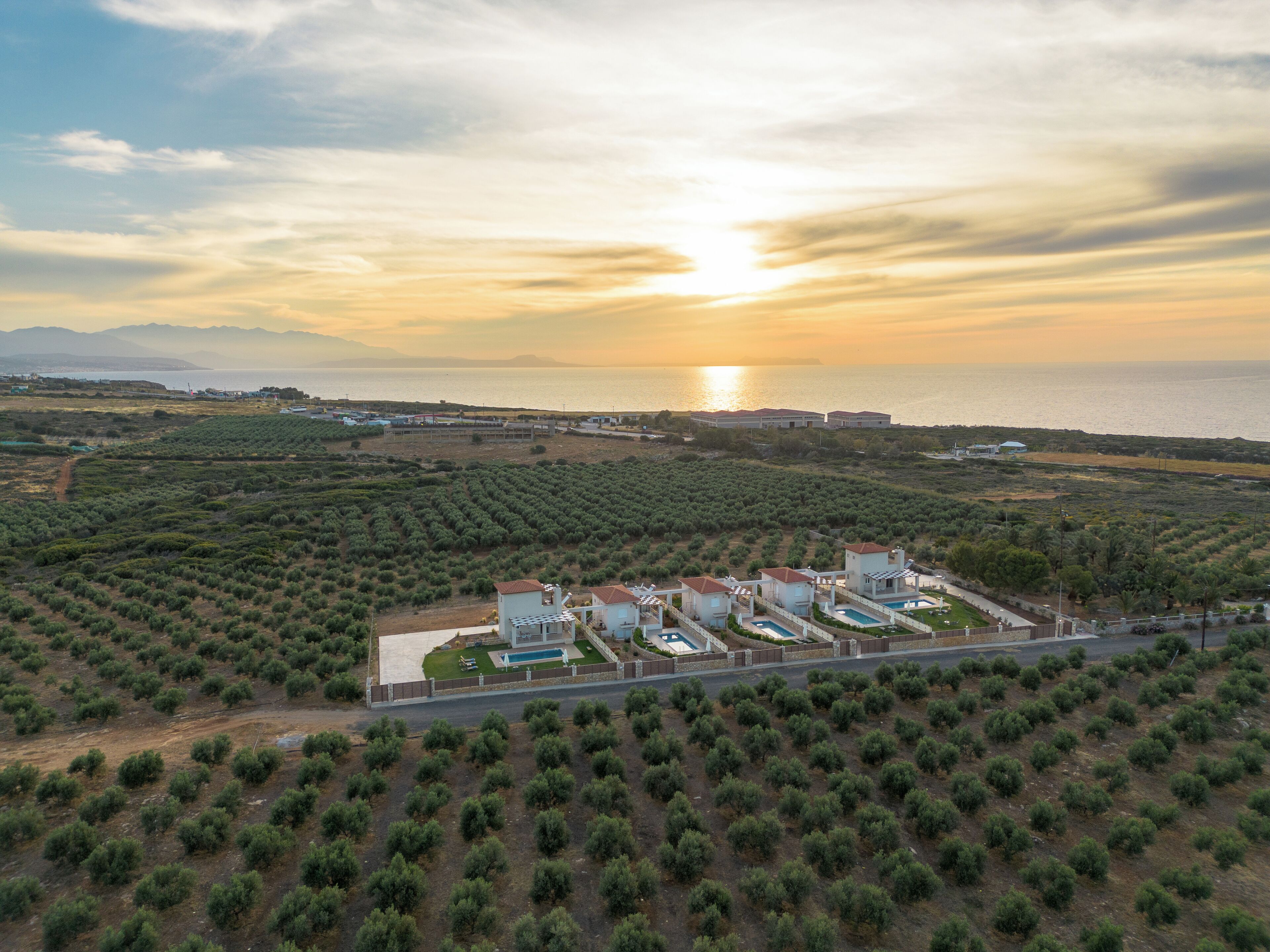 An aerial view of a coastal property with multiple villas, a swimming pool, and olive groves.
