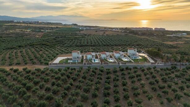An aerial view of a coastal property with rows of olive trees, a swimming pool, and several buildings with a Mediterranean architectural style. - Panor Villas (Rethymno)