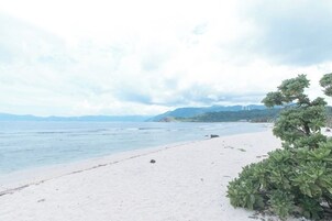 A beach with white sand and a tree on the right.