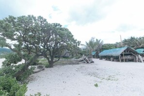 A sandy beach with a large tree and a thatched-roof hut.