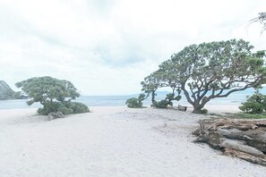 Una playa con árboles y cielo despejado.