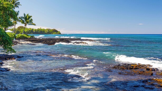 A coastal scene with clear blue waters, rocky shoreline, and palm trees. - Kona Bali Kai#164:Stunning Remodeled Studio with Ocean Views: Walk to Beach! (Kailua Kona)