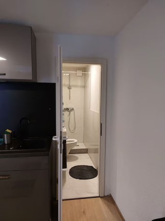 Hair dryer, towels, soap, toilet paper. Happenbach Home: Cozy vacation apartment