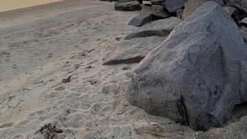 Nära stranden, solstolar och strandhanddukar