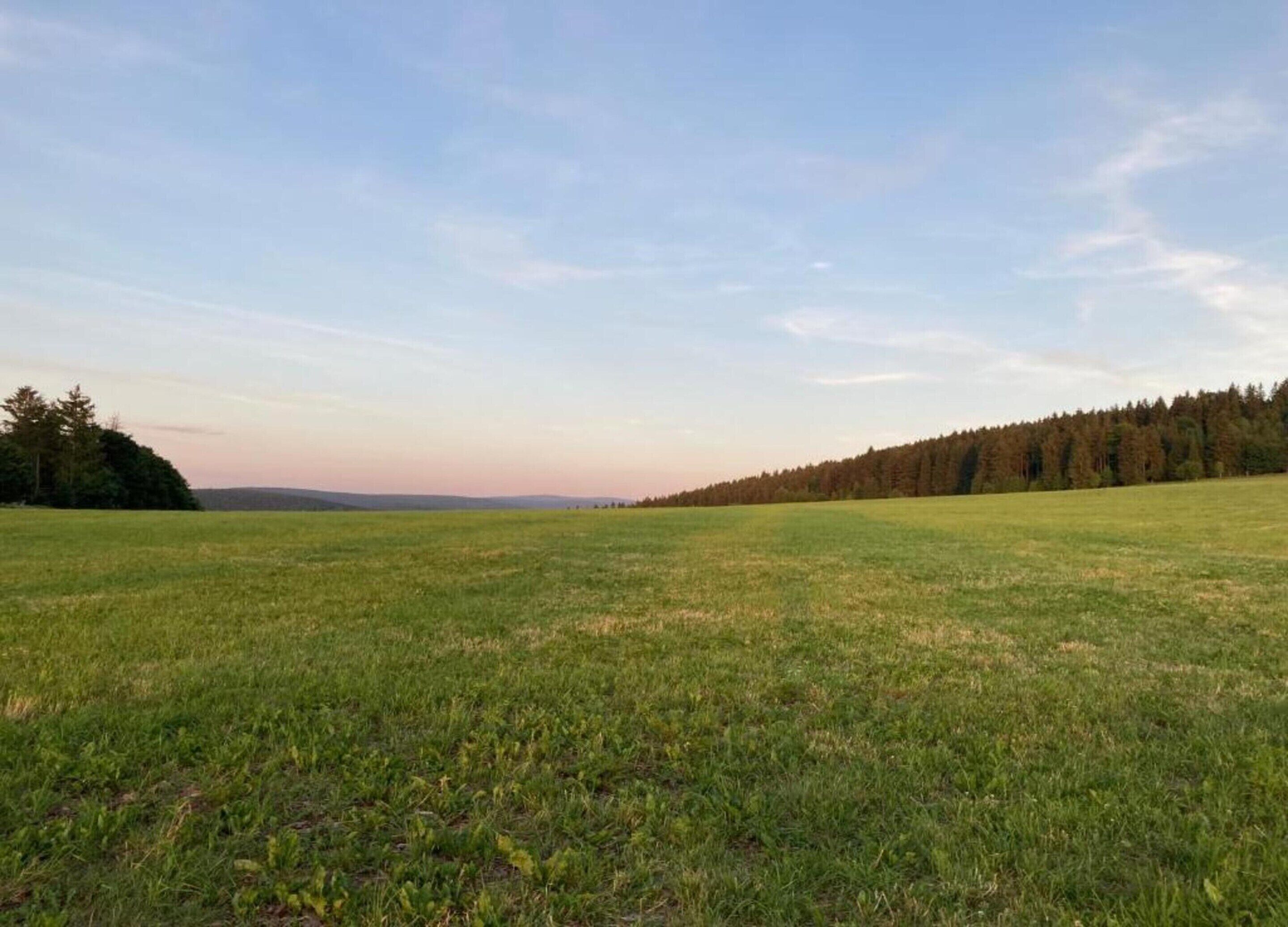 A vast open field with a line of trees in the distance under a clear sky.