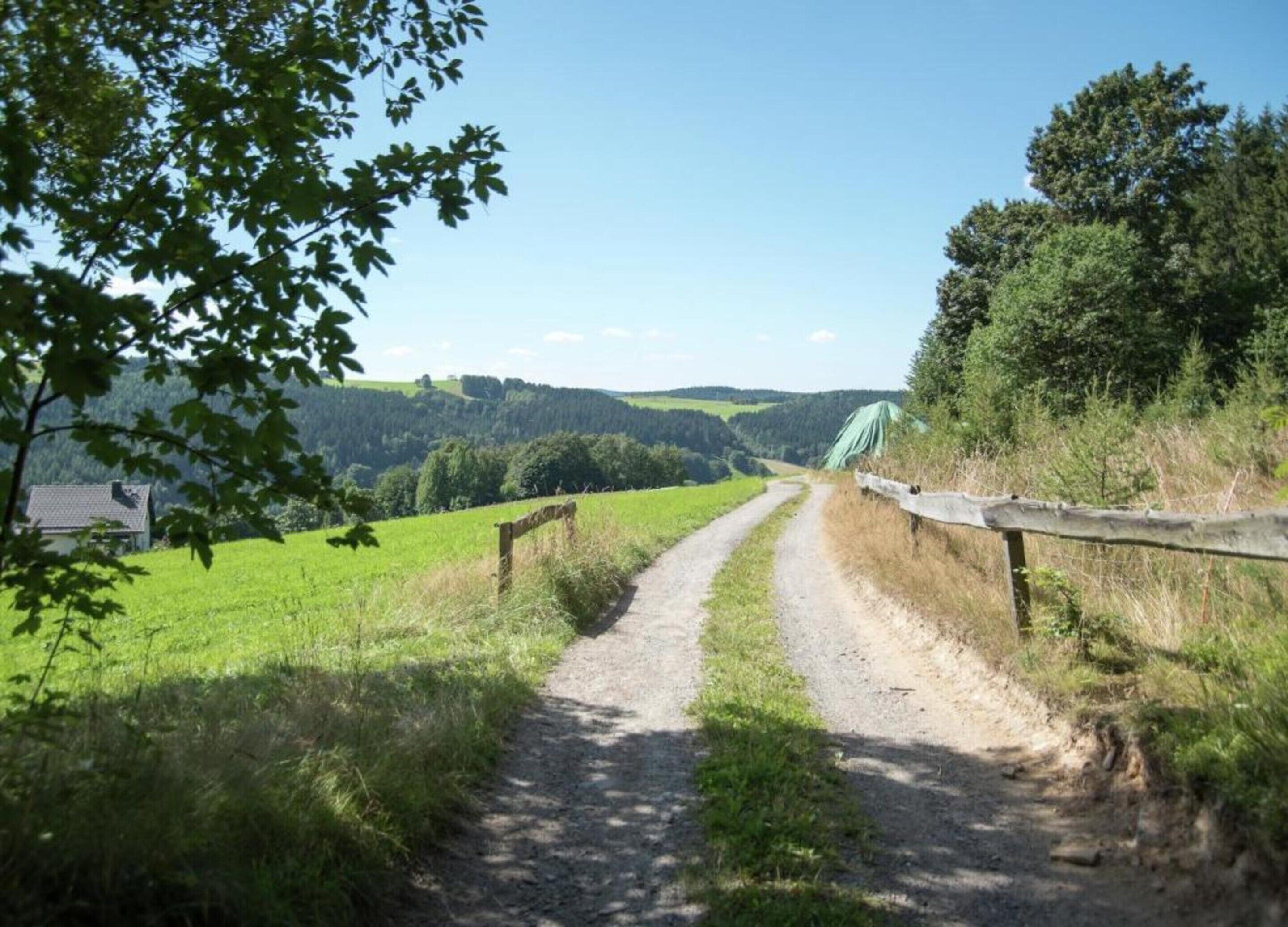A rural dirt road leading through a green landscape with a wooden fence on one side and a house on the other.
