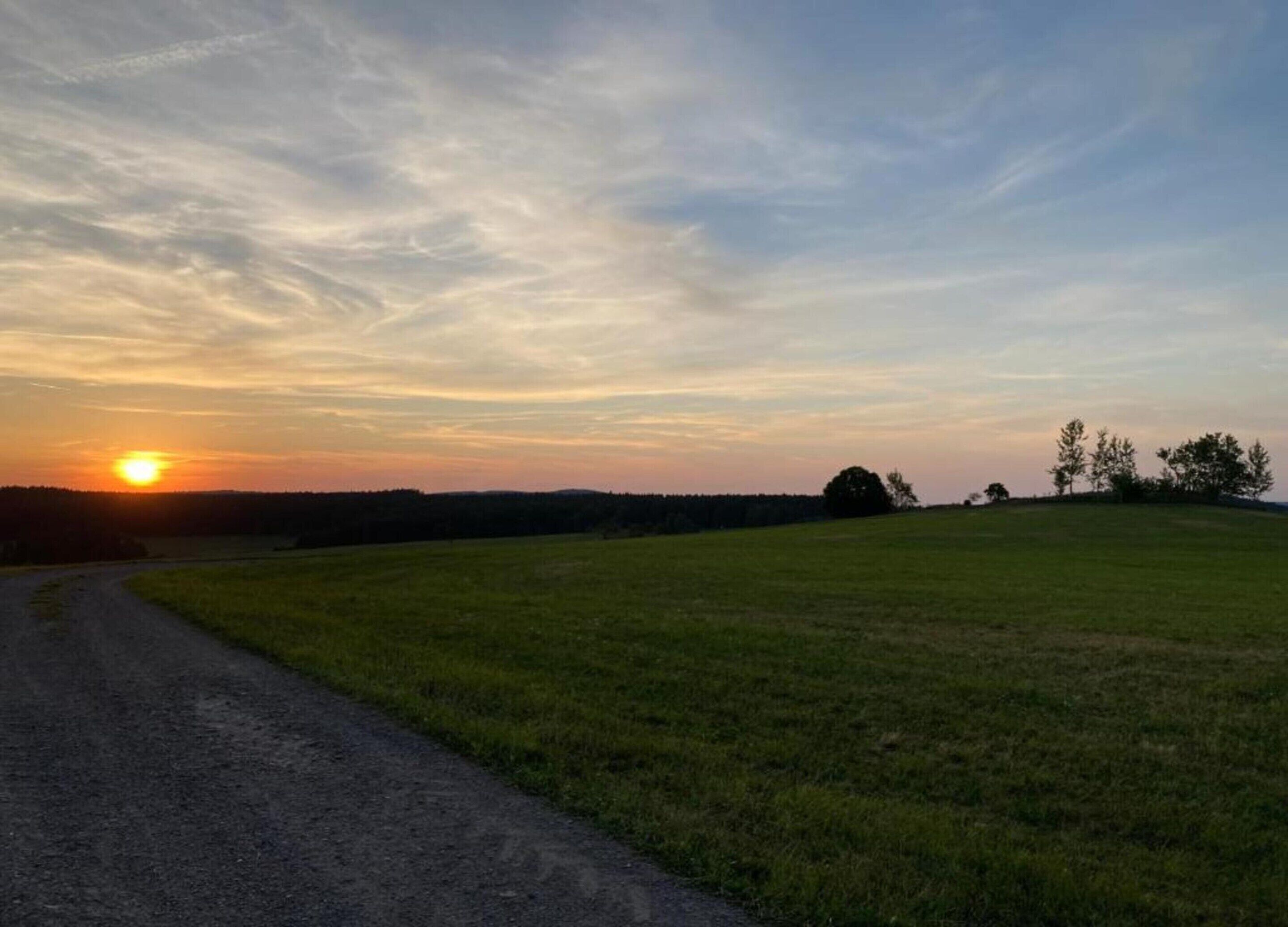A sunset over a grassy field with a dirt path leading through it.