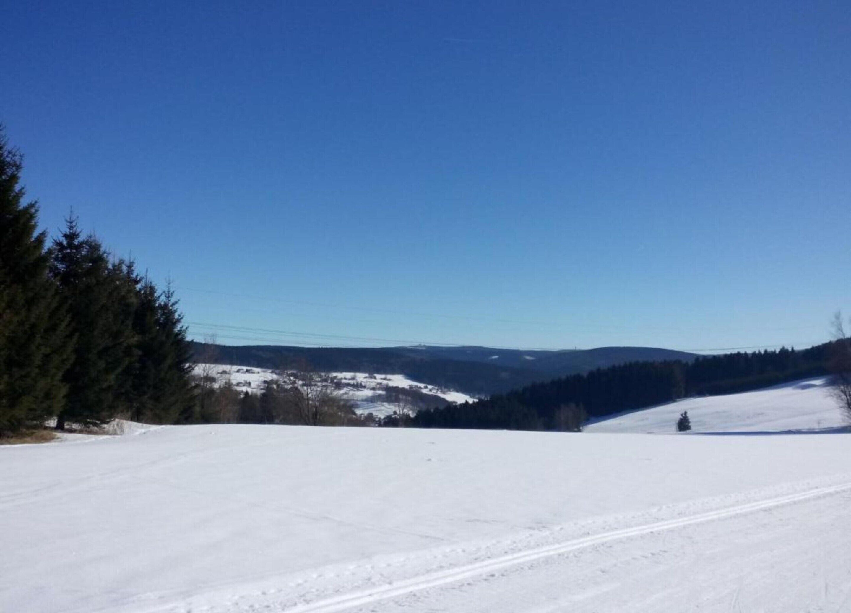A snowy landscape with a clear sky, a road, and a forested area.
