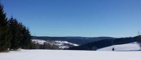 A snowy landscape with a clear sky, a road, and a forested area.