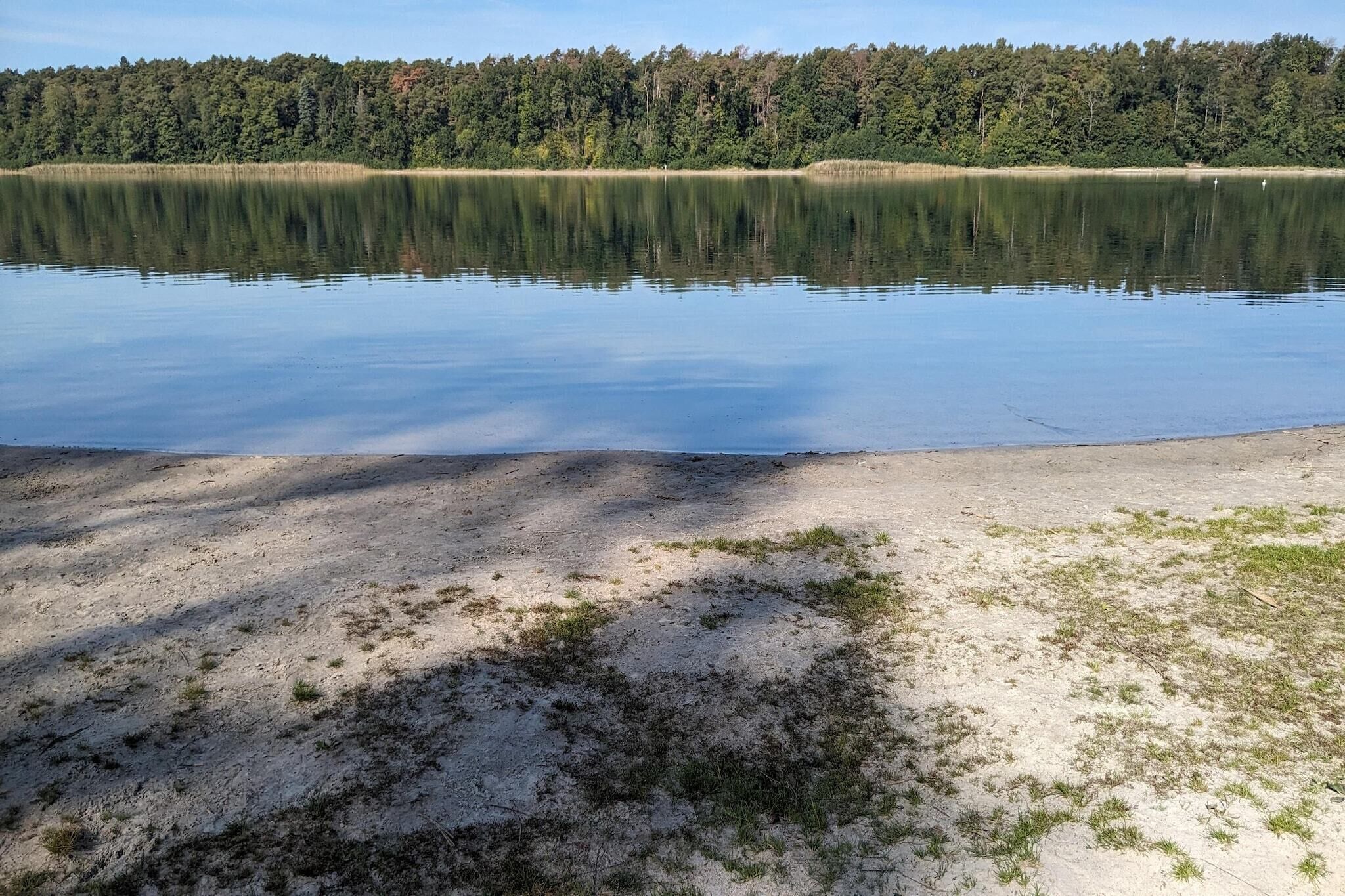 Un lago tranquillo con una spiaggia sabbiosa e una foresta sullo sfondo.