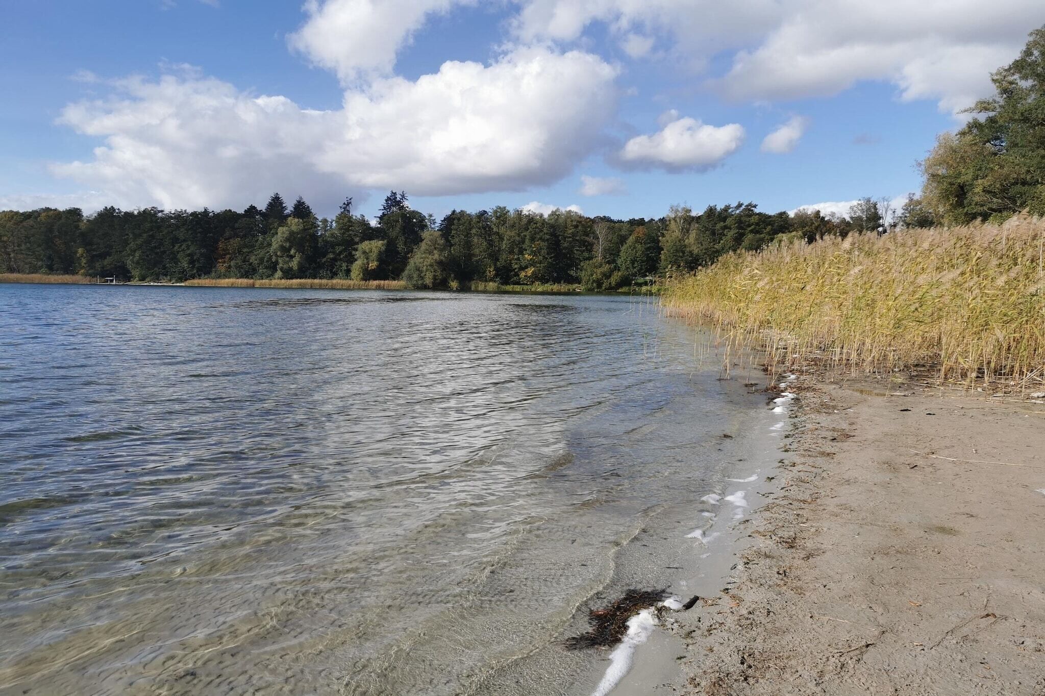 Ein klarer See mit einem Sandstrand und bewaldeter Landschaft im Hintergrund.
