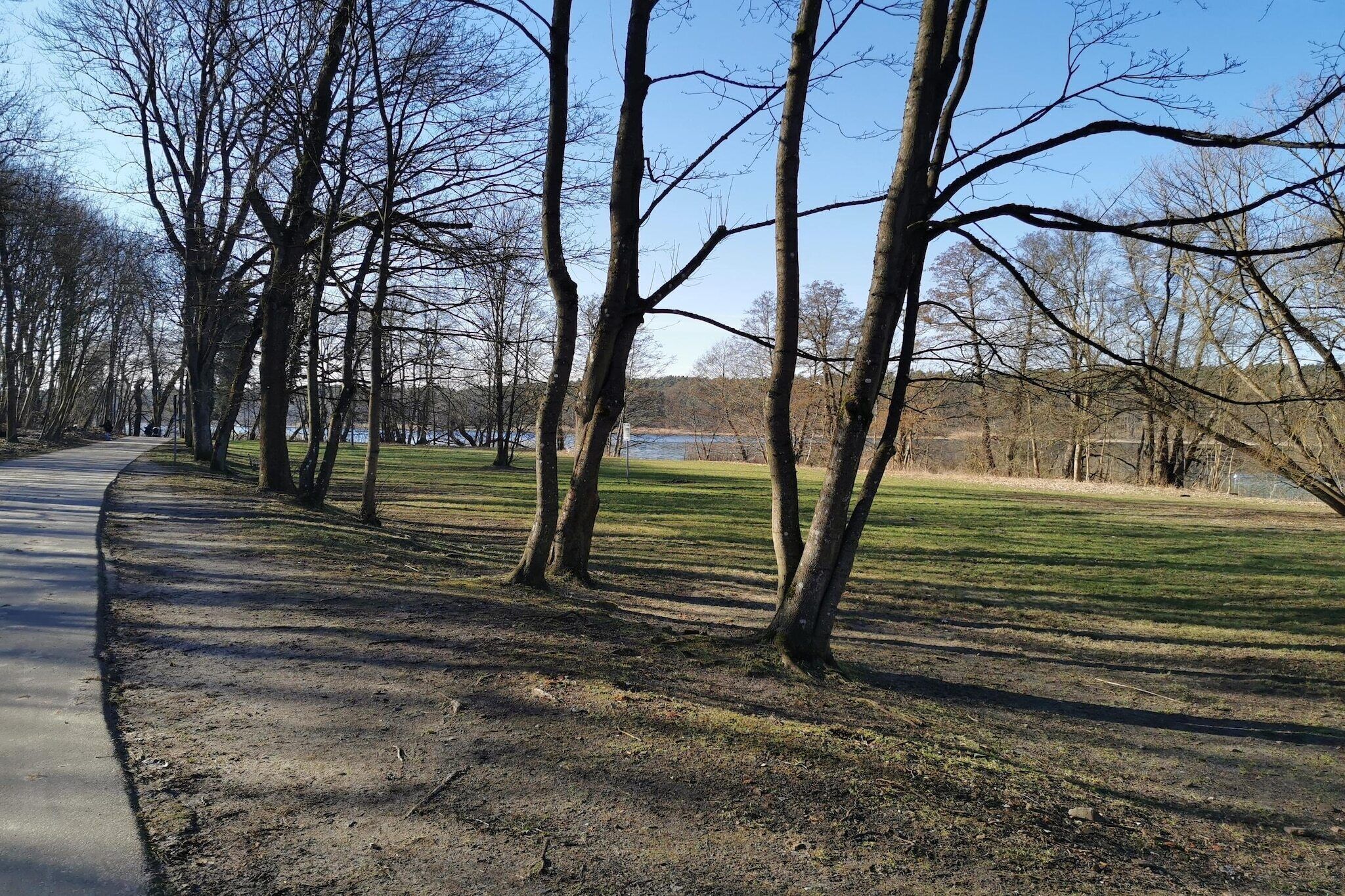 Ein Park mit befestigtem Weg, Bäumen und einem Gewässer im Hintergrund.