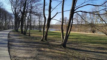 Ein Park mit befestigtem Weg, Bäumen und einem Gewässer im Hintergrund.