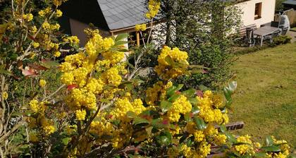 Cozy vacation home in the heart of the Erzgebirge. Family friendly!