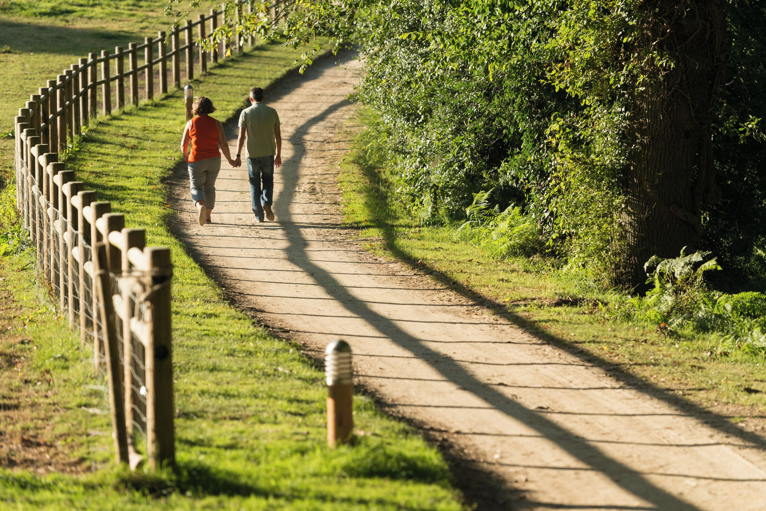 A paved path with a wooden fence on one side and dense greenery on the other.