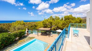 A rooftop pool with a view of the sea, surrounded by trees and blue railings. - Villa Ermis in Peyia (Pegeia)