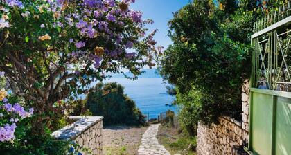 Villa Anemus in Lefkada