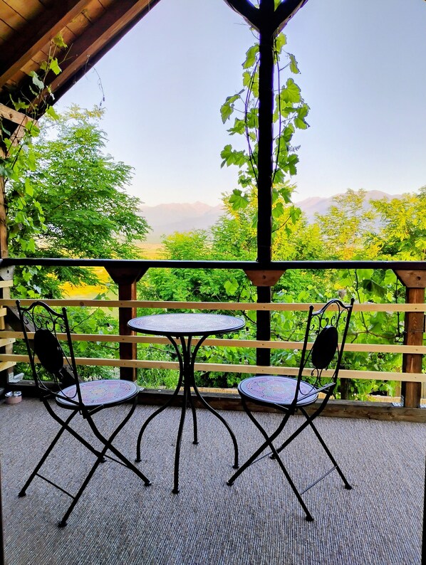 Outdoor dining - 479 Tiny Home, Domeniul von Agodt with beautiful mountain view (Bradu)