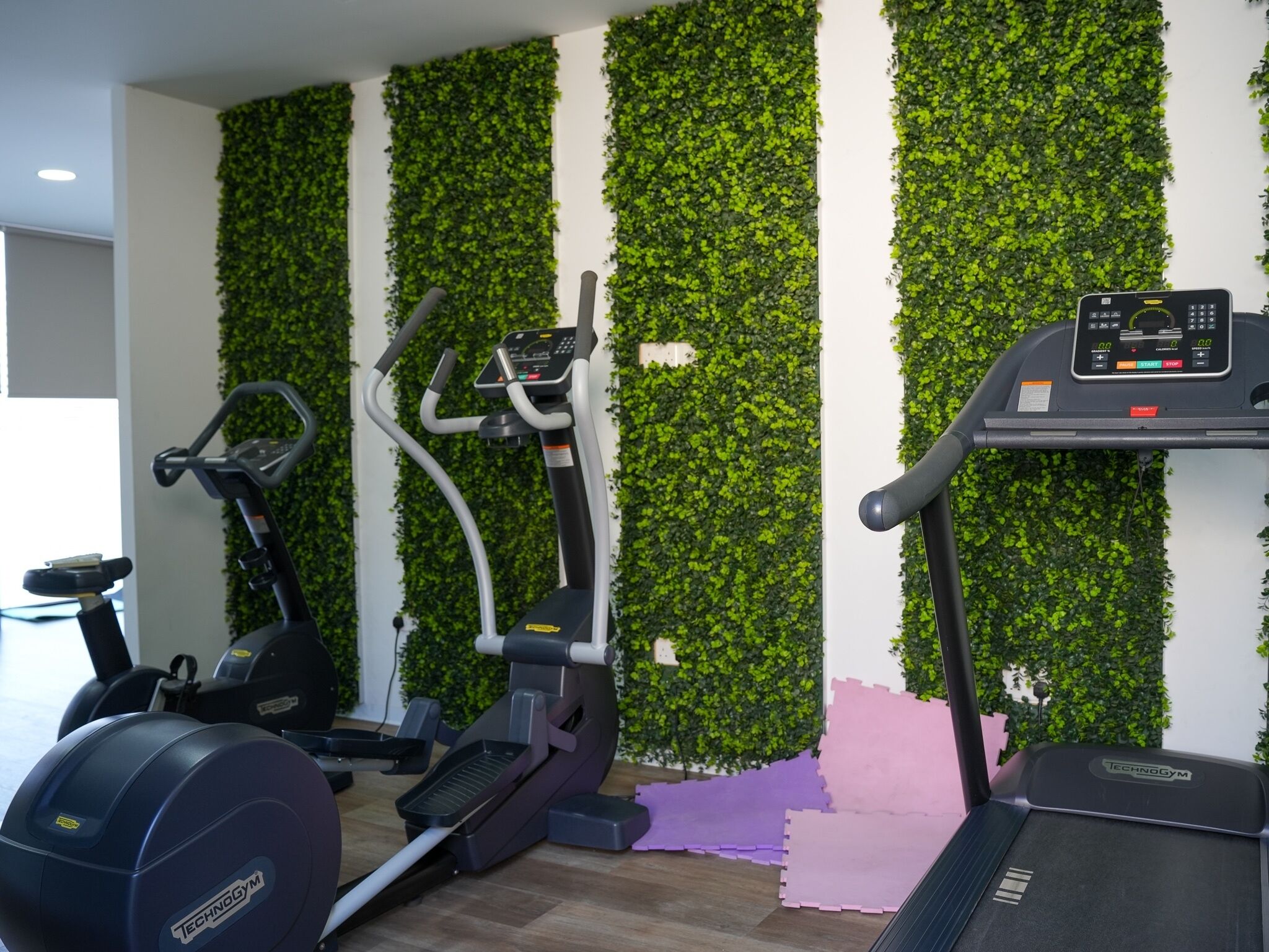 A gym with stationary bikes, elliptical machines, and treadmills.