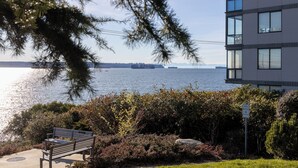 Un banc au bord de l’eau, avec un bâtiment moderne en arrière-plan.