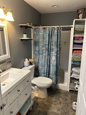 Shower, towels, soap, toilet paper - Welcoming 5 Bedroom 2 Full Bath house on East Twin Lake in charming Lewiston, MI (Lewiston)