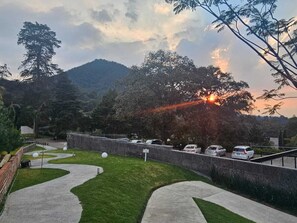 Jardim