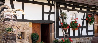 Gite "Cathel" in one of France's most beautiful villages, Hunspach.