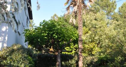 Cosy holiday home sleeping 11, private garden surrounded by parkland.