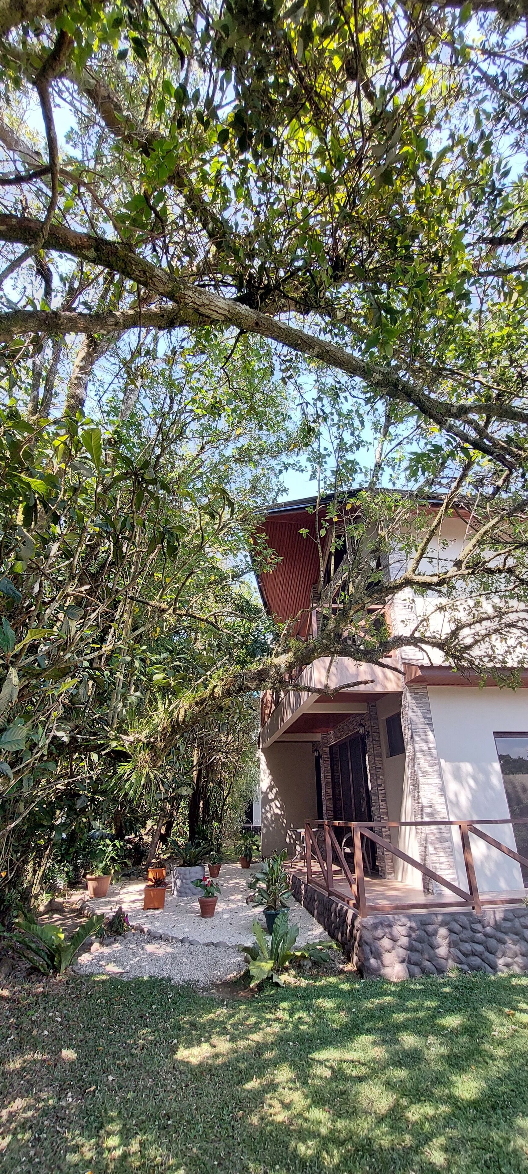 A house with a stone staircase leading to a wooden deck, surrounded by lush greenery and potted plants.