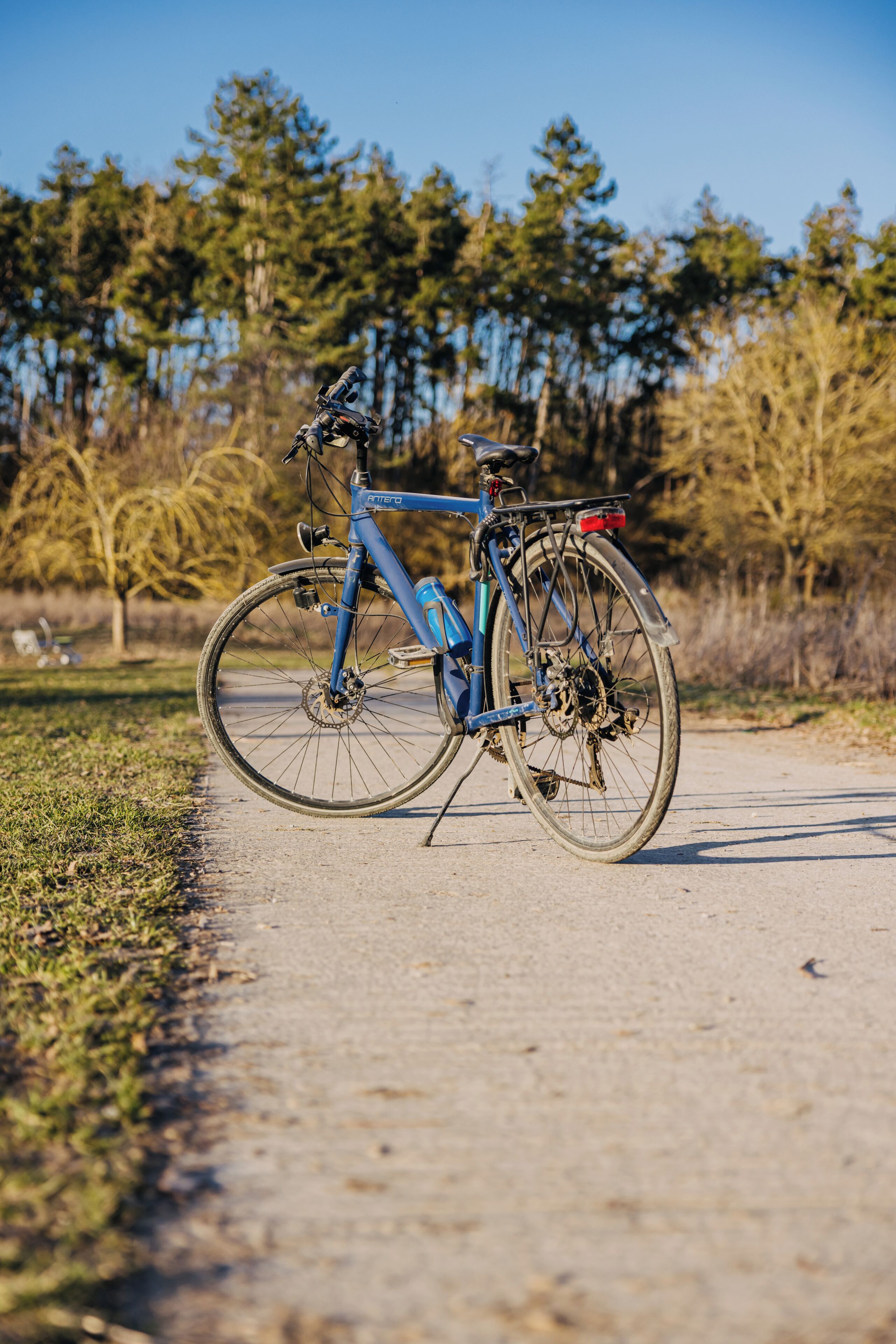 Ein Fahrrad steht auf einem befestigten Weg, im Hintergrund Bäume.